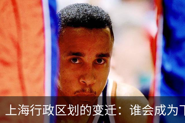 上海行政区划的变迁：谁会成为下一个被整合的区域？